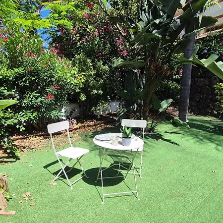 Loro Parque Puerto de la Cruz (Tenerife)