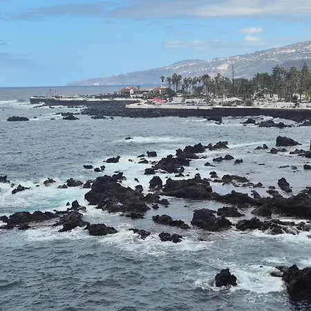 Loro Parque * Puerto de la Cruz (Tenerife)