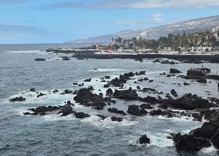 Loro Parque * プエルト・デ・ラ・クルス